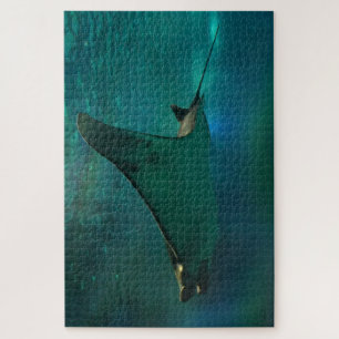 Puzzle Raie manta dans un aquarium.