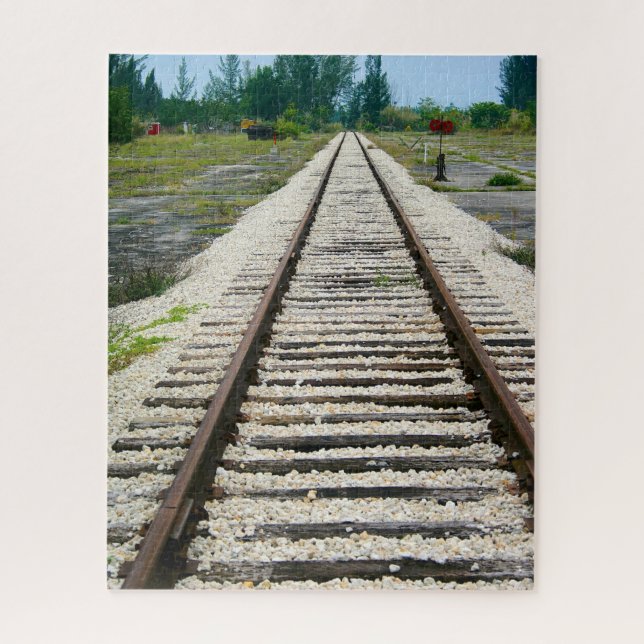 Puzzle Railroad Track Historic Train Museum Miami Floride (Vertical)