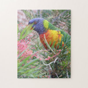 Puzzle Rainbow Lorikeet