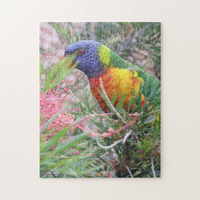Puzzle Rainbow Lorikeet (Vertical)
