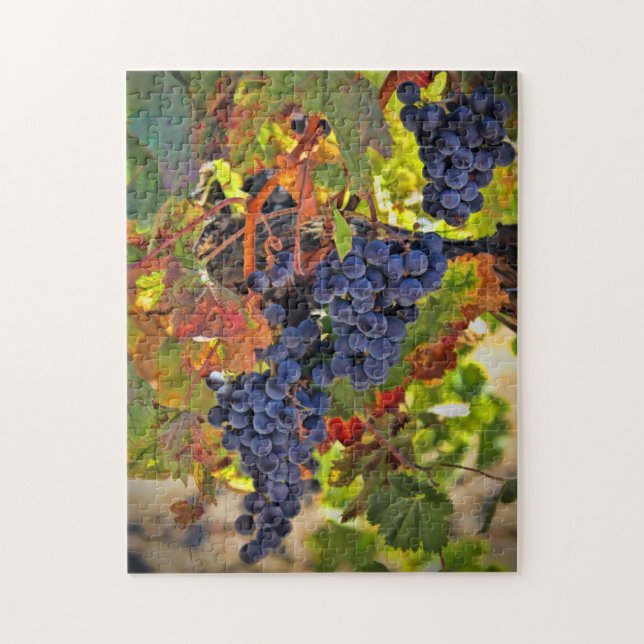 Puzzle Raisin de récolte de vin Couleurs d'automne Jigsaw (Vertical)
