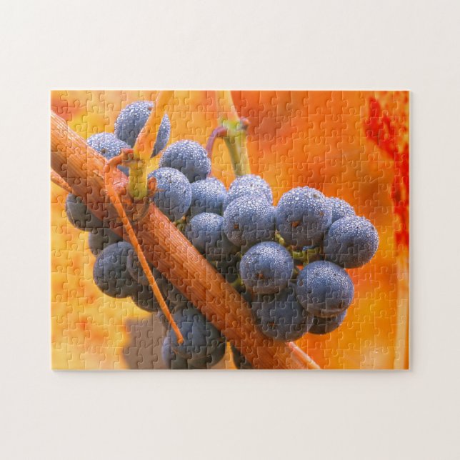 Puzzle Raisin Ripe Dans Le Vignoble (Horizontal)
