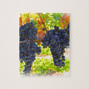 Puzzle Raisins de cuve