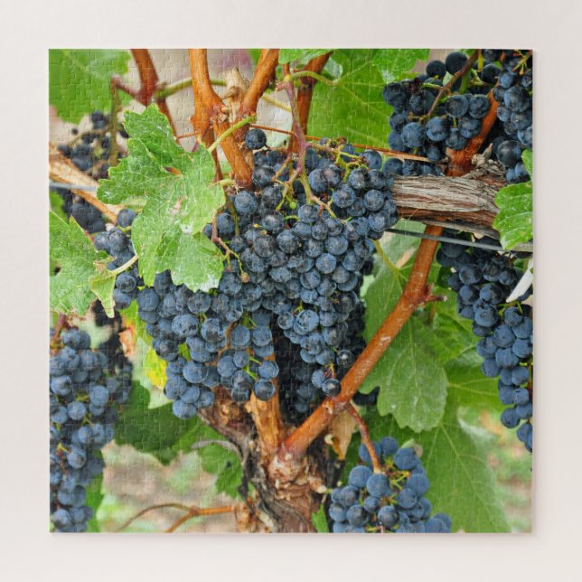 Puzzle Raisins pourpres (Vertical)