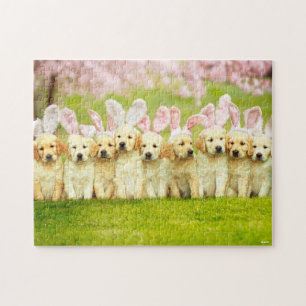 Puzzle Rangée de lapins chiots