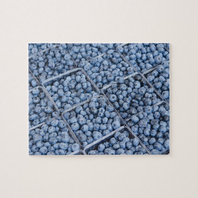 Puzzle Rangées de bleuets (Horizontal)