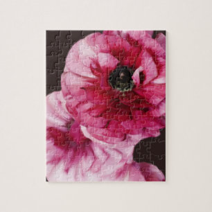 Puzzle Ranunculus rouge