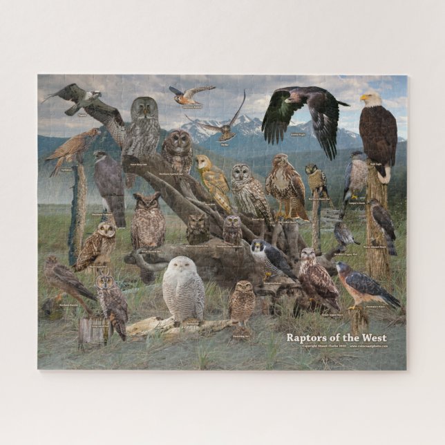 Puzzle Rapporteurs du casse-tête occidental (Horizontal)