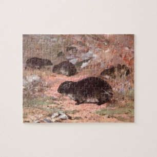 Puzzle Rats des Dassies par CE Swan, Rongeur Animal Sauva