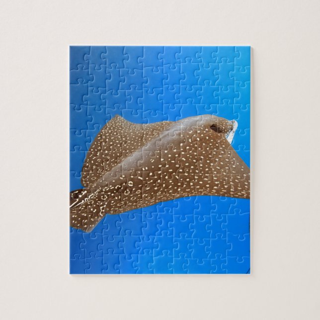 Puzzle Rayon d'aigle tacheté sous l'eau Galapagos paradis (Vertical)