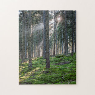 Puzzle Rayons de soleil dans la Forêt-Noire
