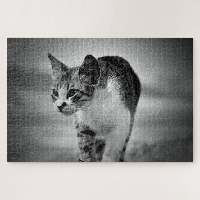 Puzzle recherche casse-tête (Horizontal)