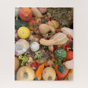 Puzzle Récolte d'automne de squash et de pompons