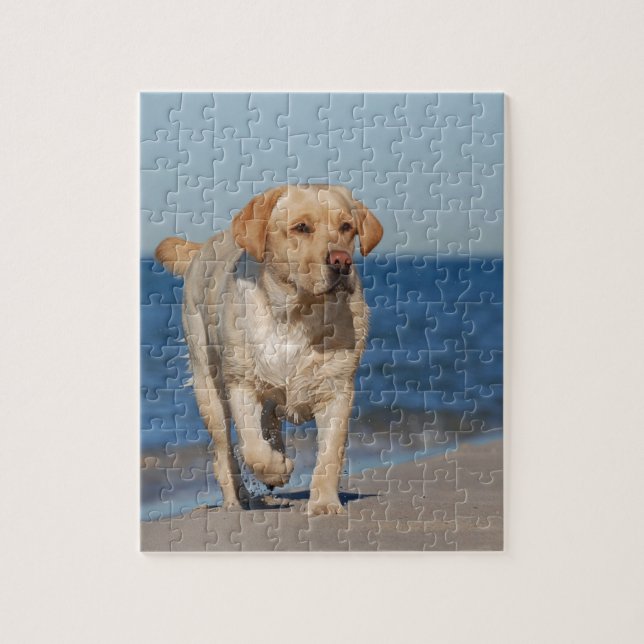 Puzzle Récupérateur de labrador jaune sur la plage (Vertical)
