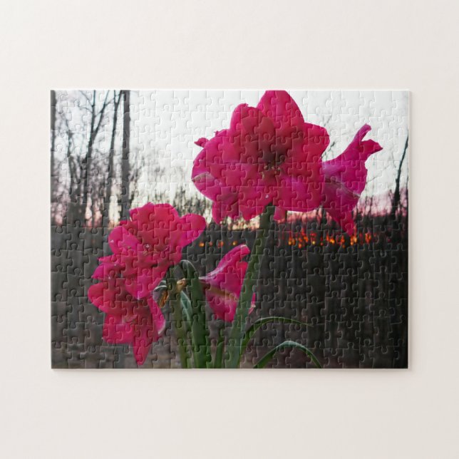 Puzzle Red Amaryllis et le lever du soleil d'hiver (Horizontal)