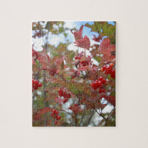 Puzzle Red Berries Nature Photo Fruit Garden Automne Auto