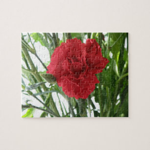 Puzzle Red Carnation