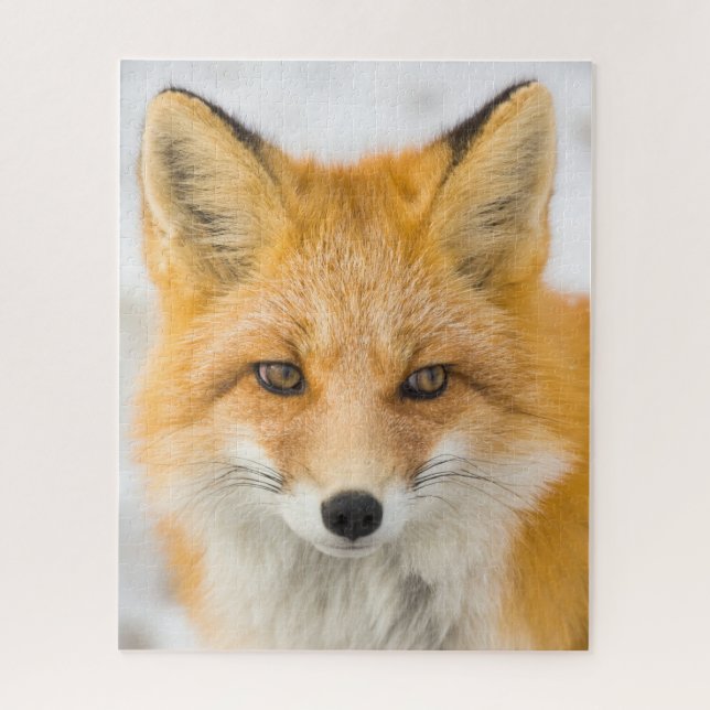 Puzzle Red Fox Portrait (Vertical)
