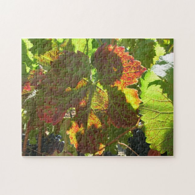 Puzzle - Red grape leaf on vine (Horizontal)