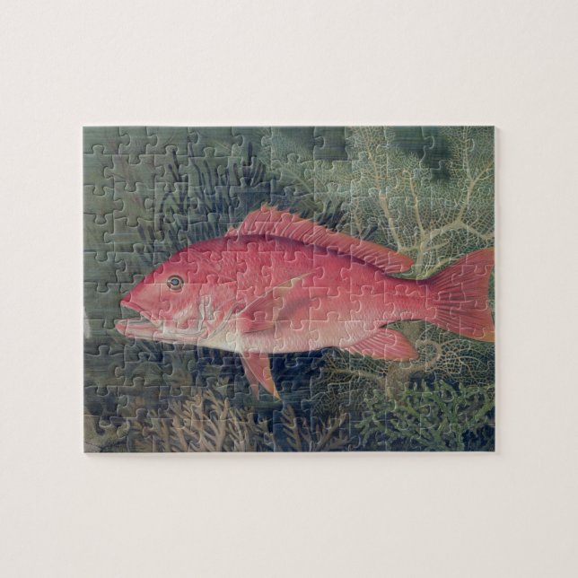 Puzzle Red Snapper, de 'Game Fishes of the United State (Horizontal)