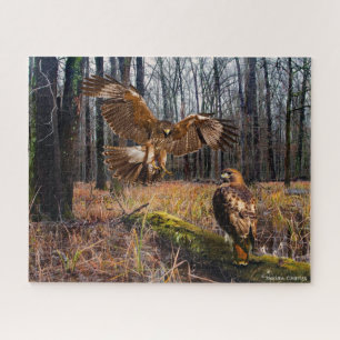 Puzzle "Red-Tailed Hawks"