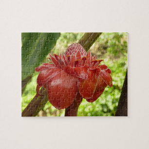 Puzzle Red Torch Ginger Tropical Flower Photographie