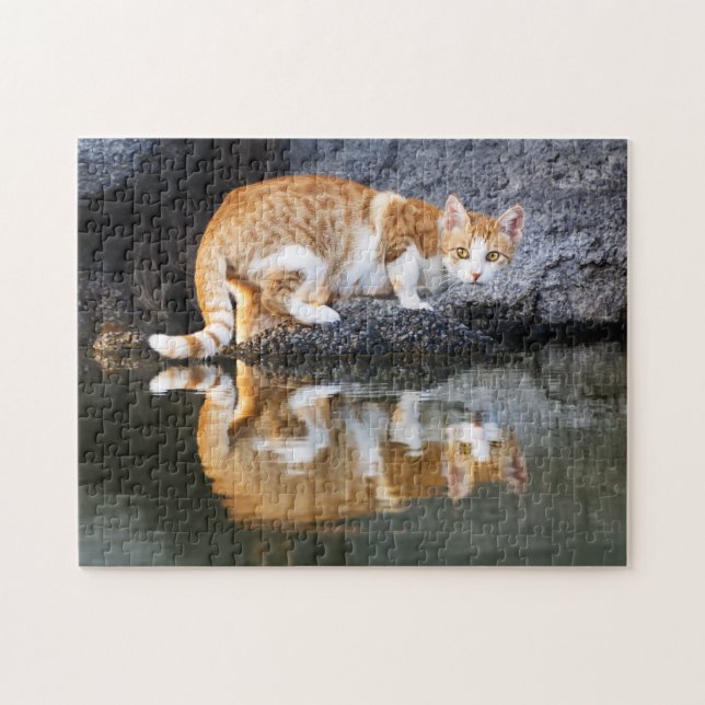 Puzzle Réflexion de chat dans l'eau de l'étang, Jeu (Horizontal)