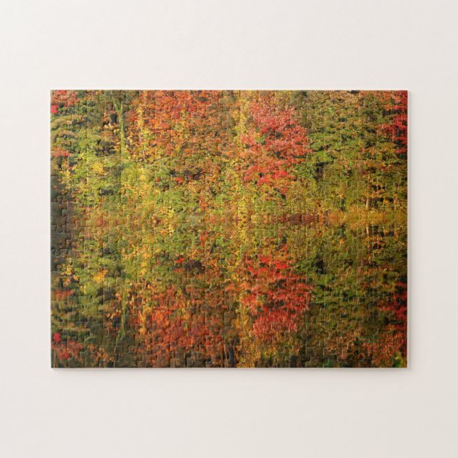 Puzzle Réflexions D'Automne Magnifiques Dans L'Eau (Horizontal)