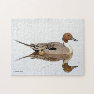 Puzzle Réflexions d'un canard à ongles du Nord