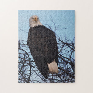 Puzzle Regard Féroce d'un Aigle Royal