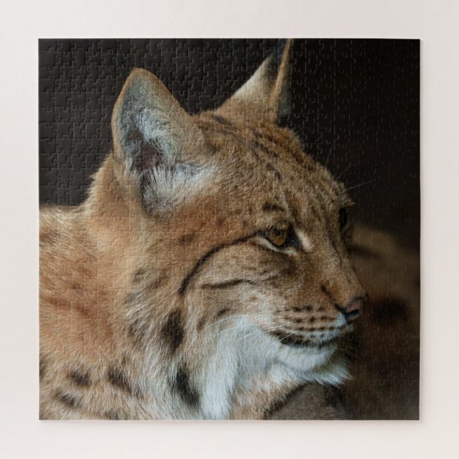 Puzzle Regard intense : Gros plan d'un Lynx (Vertical)