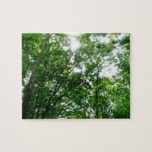 Puzzle Regard sur les arbres d'été