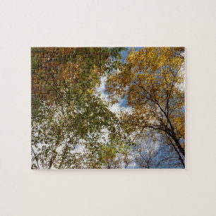 Puzzle Regard sur les feuilles d'automne II Automne Natur
