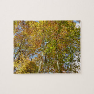 Puzzle Regard sur les feuilles d'automne III Foliage colo