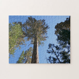 Puzzle Regardant vers Mariposa Grove