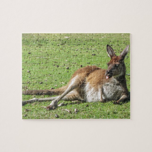 Puzzle Relaxed de kangourou (Horizontal)