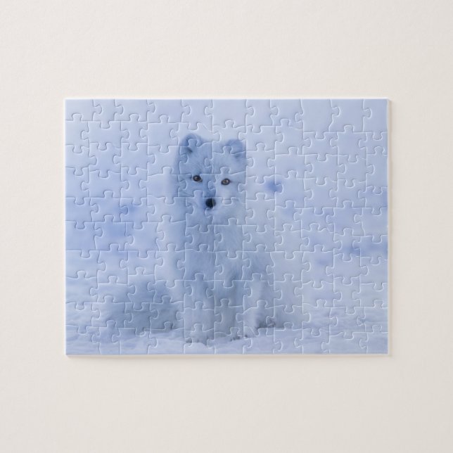 Puzzle Renard arctique (Horizontal)