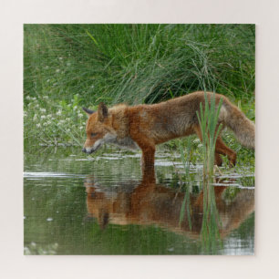 Puzzle Renard dans l'étang