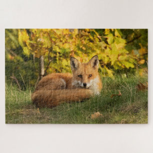 Puzzle Renard d'automne
