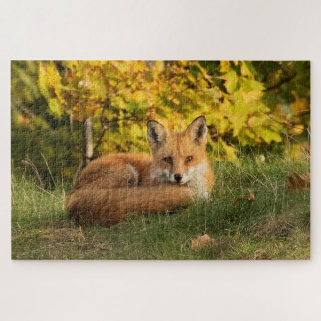 Puzzle Renard d'automne (Horizontal)