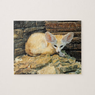 Puzzle Renard mignon de fennec