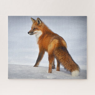 Puzzle Renard rouge en hiver