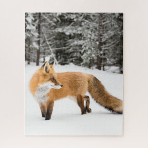 Puzzle Renard rouge en neige blanche
