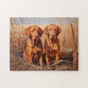 Puzzle Renard rouge labrador récupérateurs