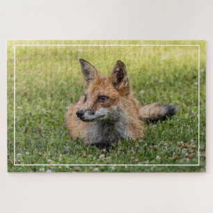 Puzzle Renard Rouge Sur Un Lit De Clover (Horizonal)