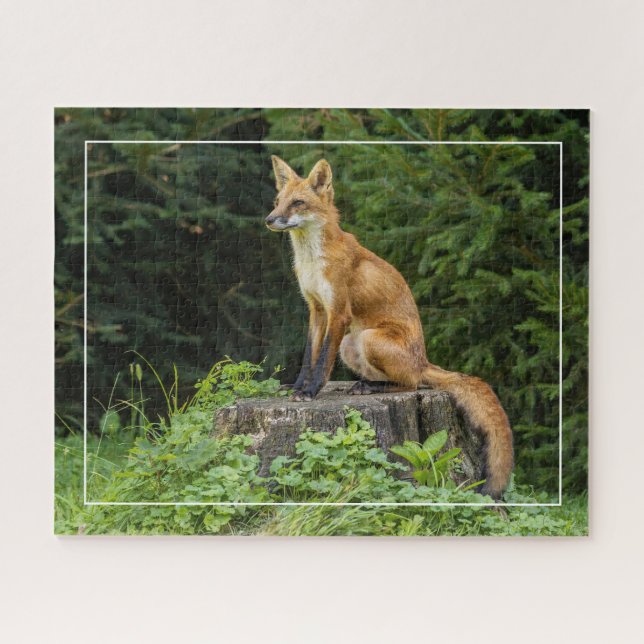 Puzzle Renard Rouge Sur Un Piédestal (Horizontal)