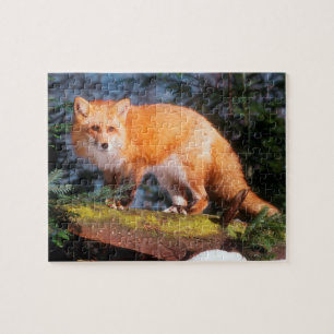 Puzzle Renard roux sur une bûche