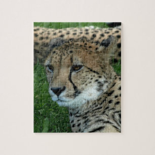 Puzzle repéré de guépard