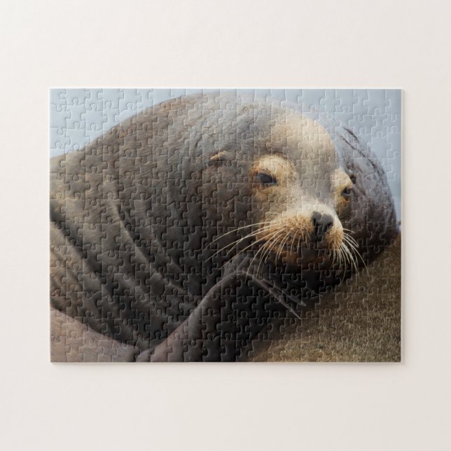 Puzzle Repos de Lion de la mer de Californie (Horizontal)