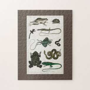 Puzzle reptile, mignonne, lézard, animal, reptiles, tortu